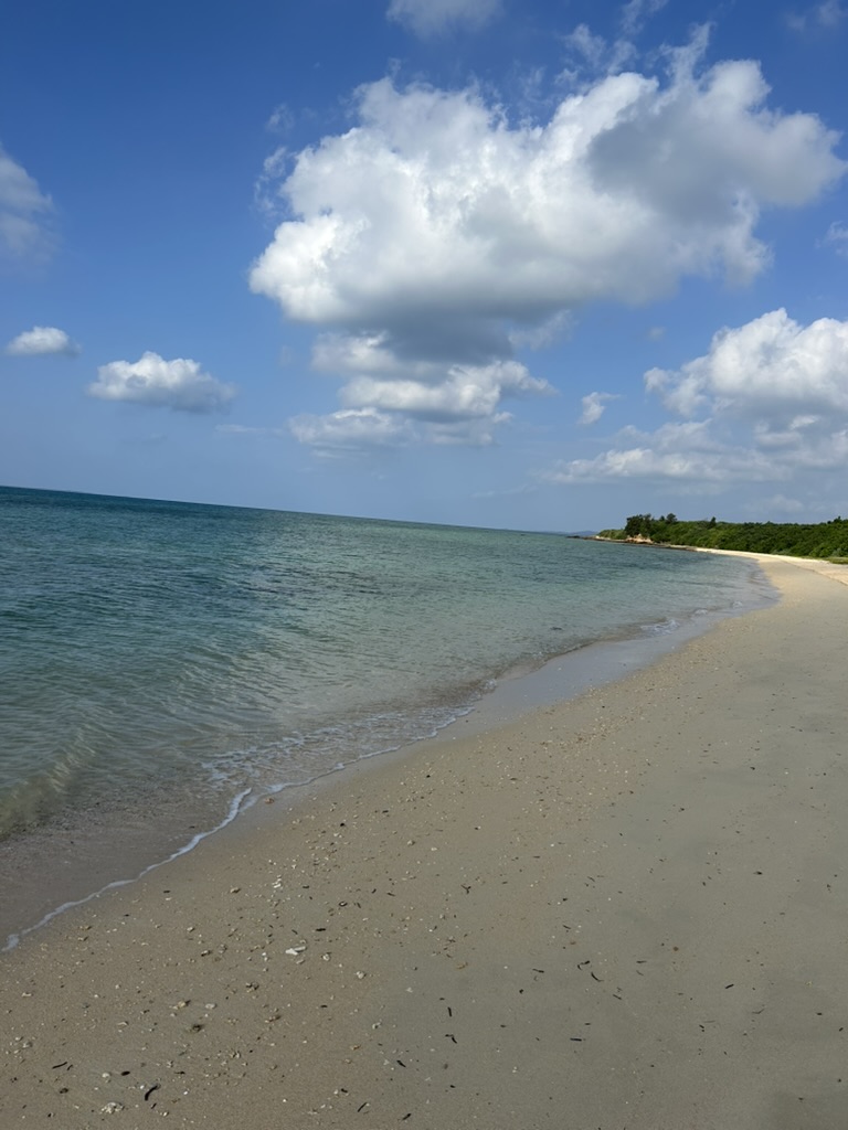 小浜島のビーチ