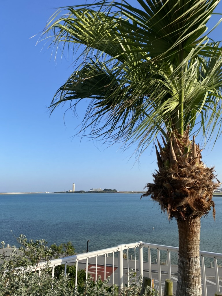 朝散歩で見た瀬長島の海